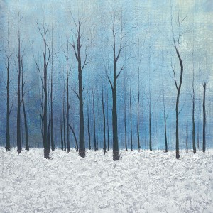 winter scenery